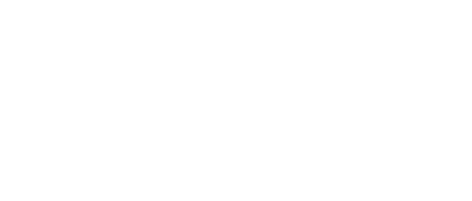 dorset council logo